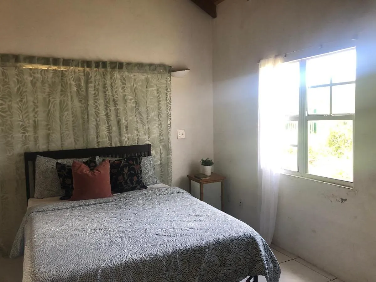 Vila Bougainvillea Rasta Casa Swetes 0*,