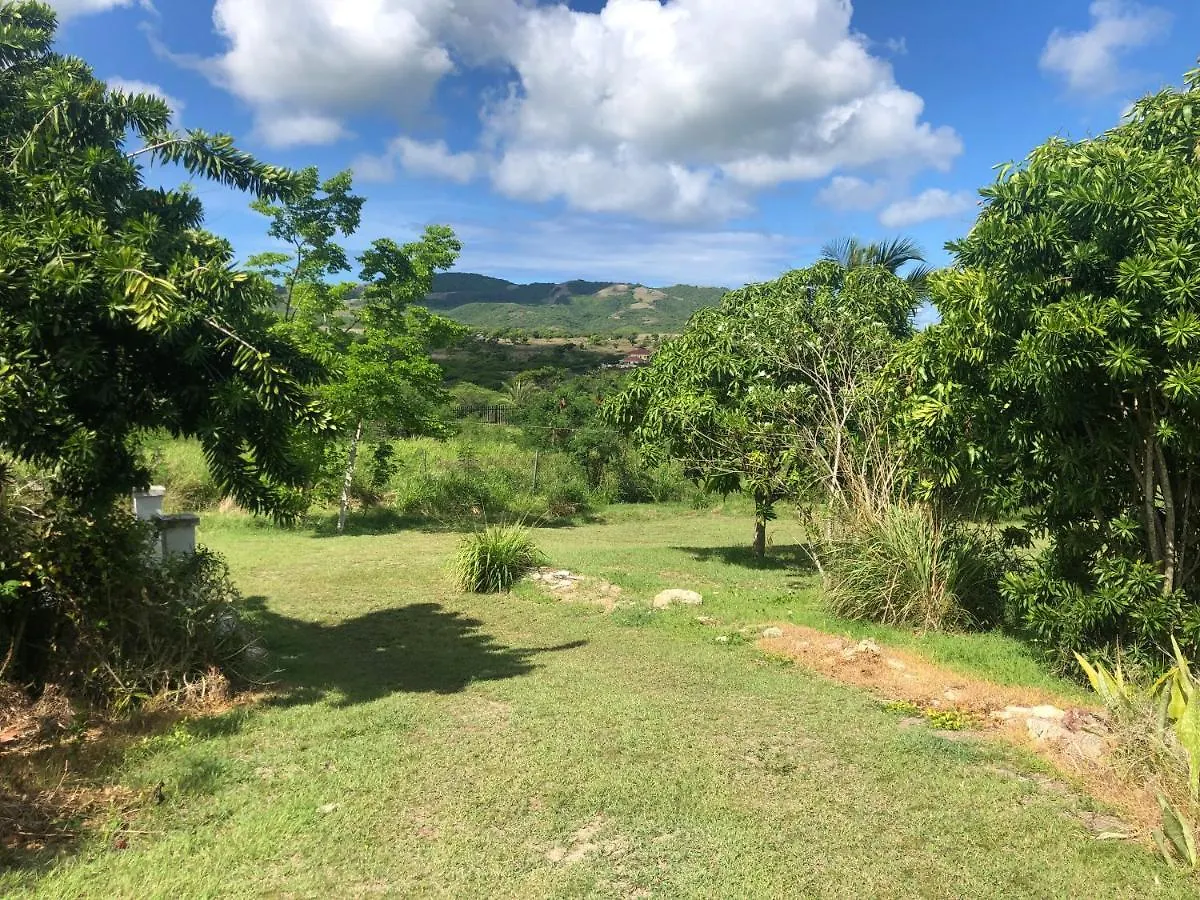 Prázdninový dům Vila Bougainvillea Rasta Casa Swetes Antigua a Barbuda